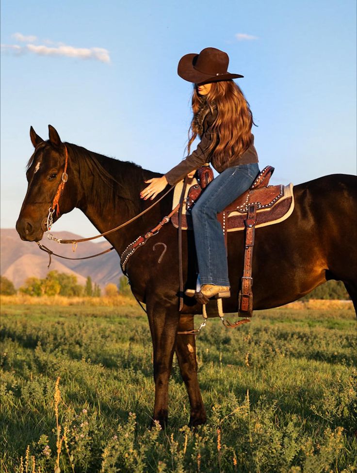 Caballo Campo